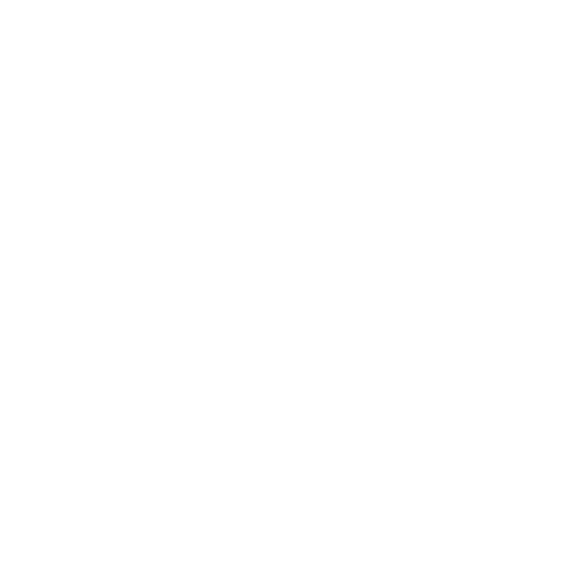 White star with a circular outline and rays radiating outward, set against a light gray background.