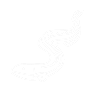 eel icon
